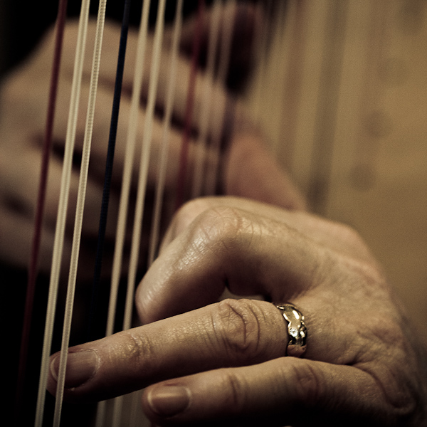 Harp Festival (51 of 54).jpg